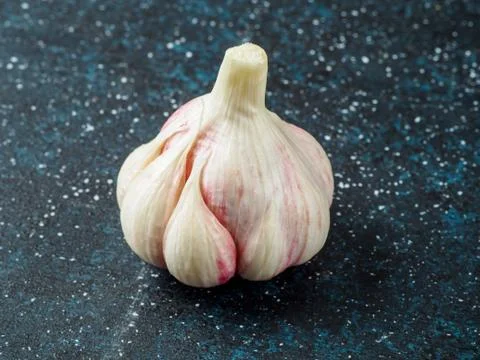 Head of garlic on dark background. Stock Photos