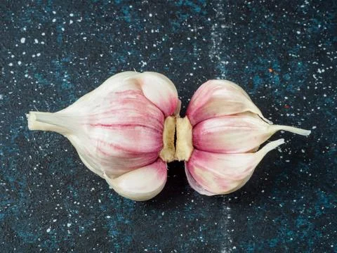 Head of garlic on dark background. Stock Photos