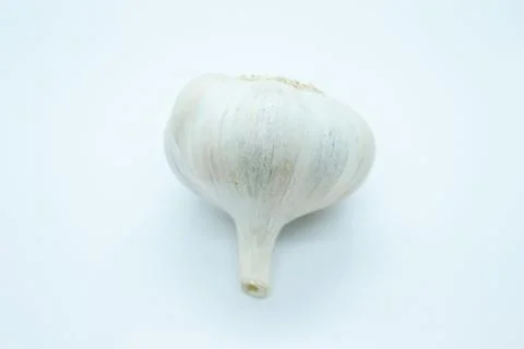 A head of garlic located on a white background Stock Photos