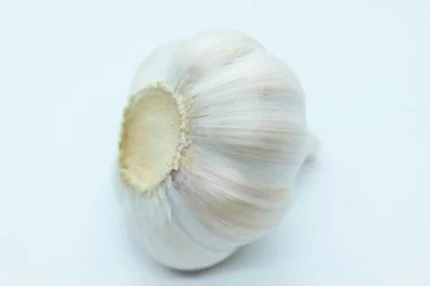 A head of garlic located on a white background Stock Photos