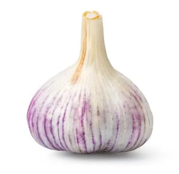 Head of garlic Stock Photos
