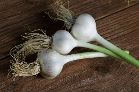 Head of garlic on the table rustic Stock Photos
