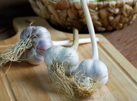 Head of garlic on the table rustic Stock Photos
