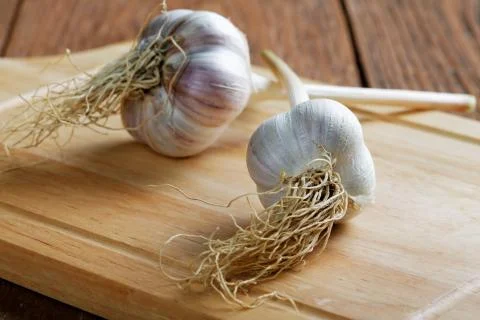 Head of garlic on the table rustic Stock Photos