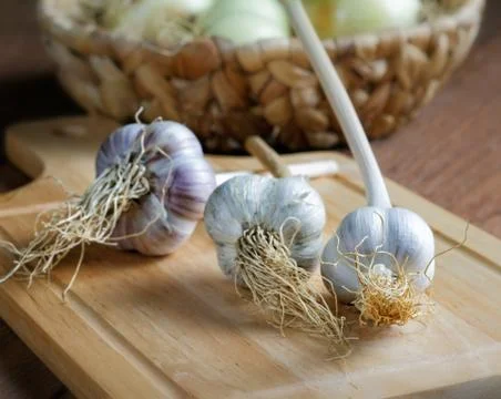 Head of garlic on the table rustic Stock Photos