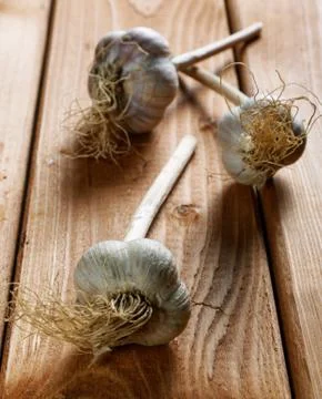 Head of garlic on the table rustic Stock Photos