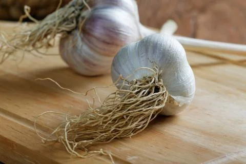 Head of garlic on the table rustic still-life Stock Photos