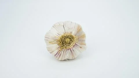 Head of garlic on a white background Stock Photos