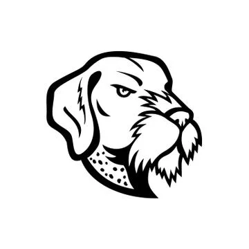 Head of German Wirehaired Pointer Mascot Black and White 스톡 일러스트