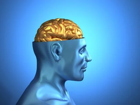 Head with golden brain Stock Illustration