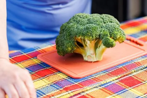 A head of green broccoli on a pink plastic cutting board, and colorful towel 库存照片