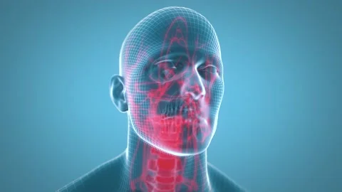 Head hemodynamics Stock Footage 154765399