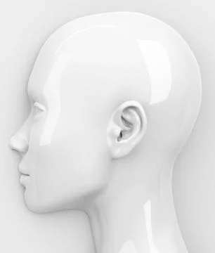 The head Stock Illustration