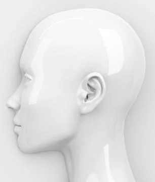 The head Stock Illustration