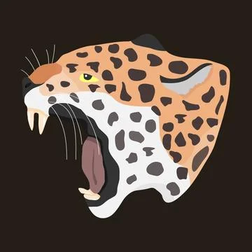 Head of a leopard, leopard Stock Illustration