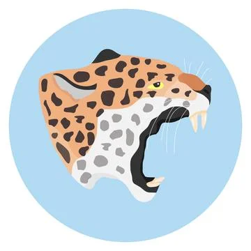 Head of a leopard, leopard. 스톡 일러스트