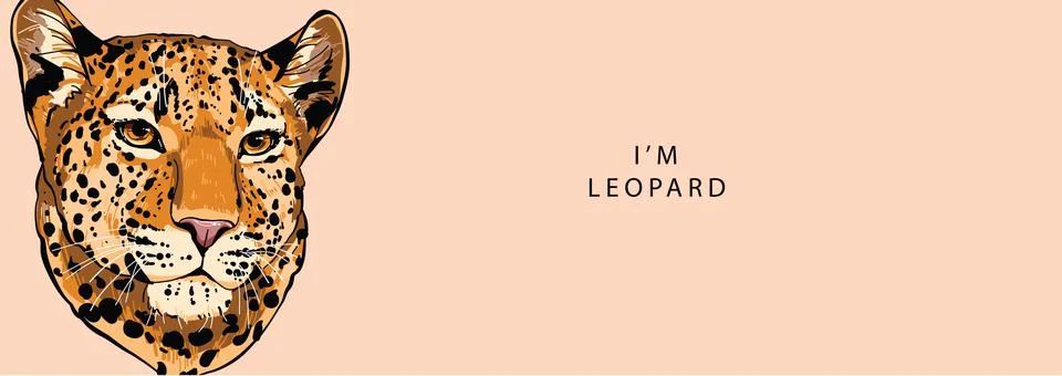 The head of a leopard looks seriously to the side on a beige background 스톡 일러스트
