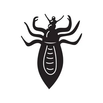 Head lice or Pediculus humanus capitis. Black and white vector illustration in Stock Illustration