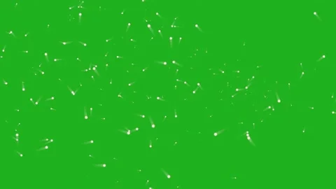 Head light with tail moving right Stock Footage 233248480