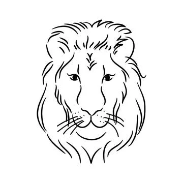 Head of the lion Stock Illustration