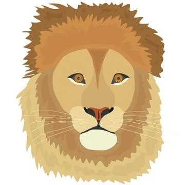 The head of a lion, a lion Stock Illustration