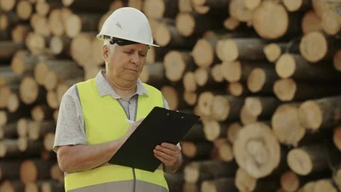 Head of logging in protective helmet with paper tablet in his hands against Stock Footage 242624793