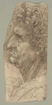 Head of a Man in Profile Facing to the Left 149094 Leonardo da Vinci Italia.. Foto stock