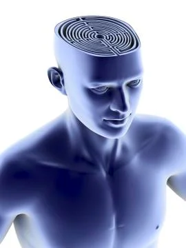 Head with maze Illustrazione stock