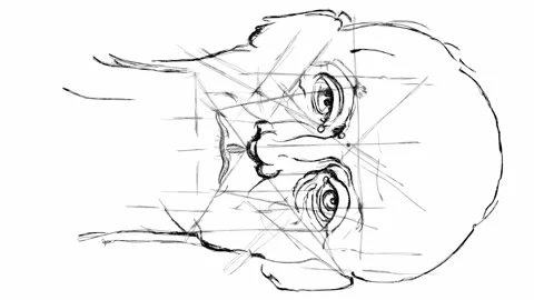 Head Men. Based on drawing of Leonardo da Vinci Stock Footage 262305452