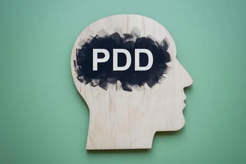 Head model with inscription PDD Persistent Depressive Disorder. Stock Photos