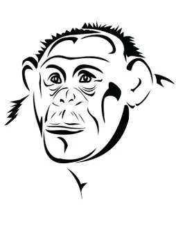 The head of the monkey Stock Illustration