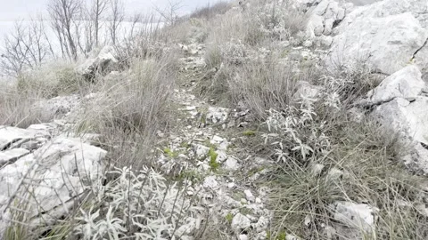 Head of a mountain Video stock 266435363