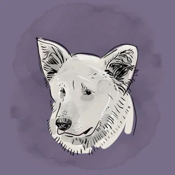 Head, muzzle the dog. Shepherd Sketch Black contour on a purple grunge backgr Иллюстрация