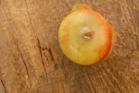 Head of onion Stock Photos