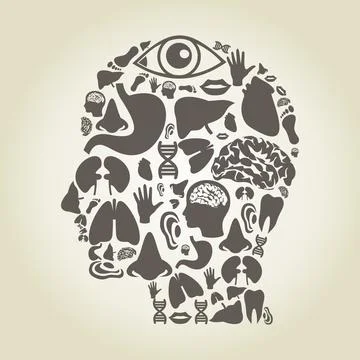 Head of part body Stock Photos