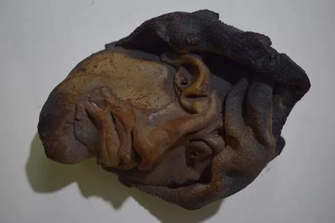 The head part of a sculptor Stock Photos