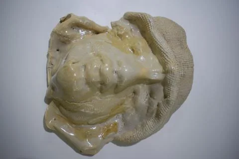The head part of a sculptor Stock Photos