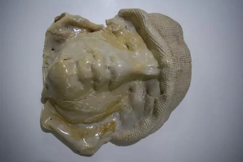 The head part of a sculptor Stock Photos