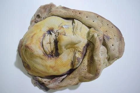 The head part of a sculptor Stock Photos