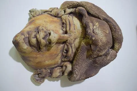 The head part of a sculptor Stock Photos
