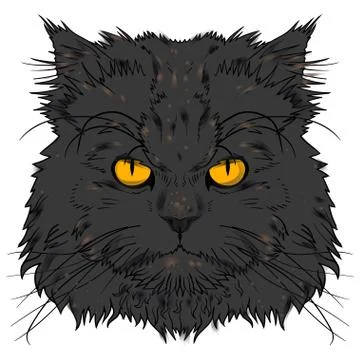 Head of the Persian cat graphics Illustrazione stock