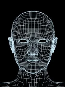 Head of the person from a  3d grid Stock Illustration