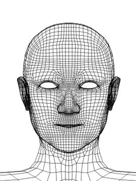 Head of the person from a 3d grid Stock Illustration