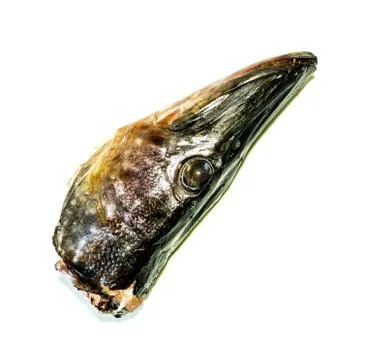 Head pike. 写真素材