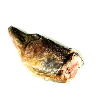 Head pike. 写真素材