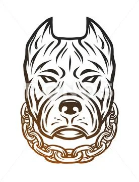 The head of a pit bull with a collar. Stock Illustration