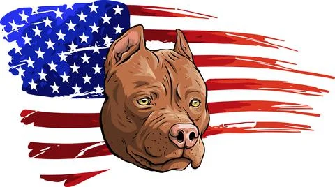 Head of pitbull with american flag vector illustration Stock Illustration