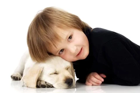 Head on puppy Foto stock