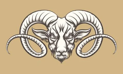Head of A Ram Stock Illustration