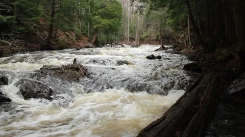 Head on river Stock Footage 40644861
